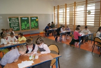 konkurs  las