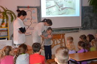stomatolog2015