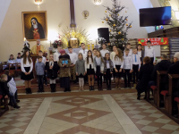 jaselka2018